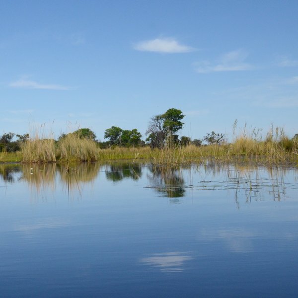 an area that is predominantly lush wetlands.