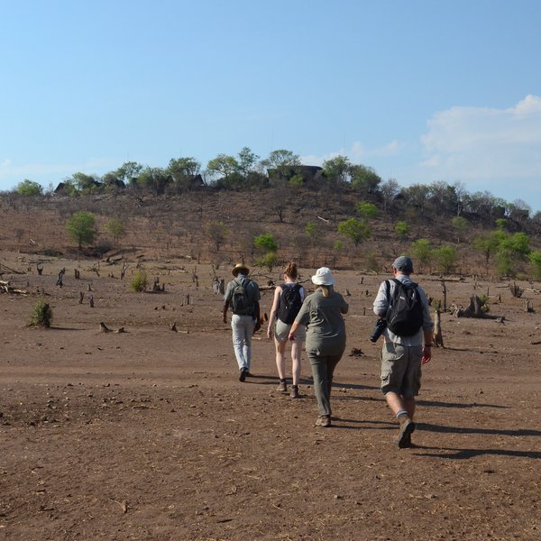 You can also do a guided walk in the private forest reserve around Muchenje.