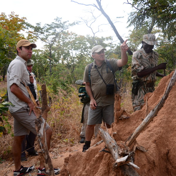 Robin Pope Safaris Mobile Safari Camp