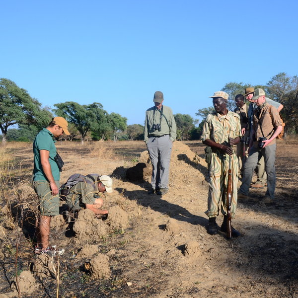 Robin Pope Safaris Mobile Safari Camp