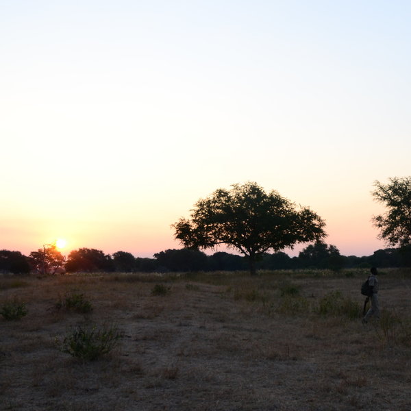 Robin Pope Safaris Mobile Safari Camp
