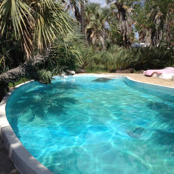 The two warm-spring-fed pools at Oasis Lodge are its best feature.
