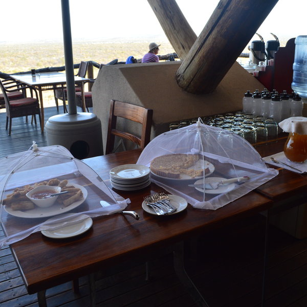 Ongava Lodge
