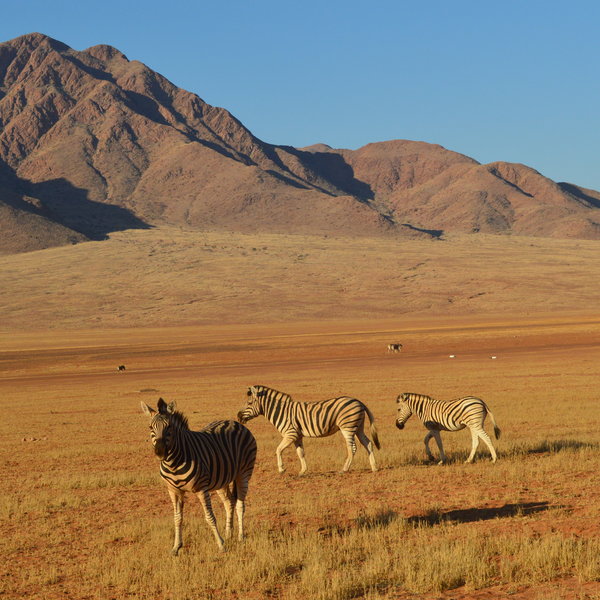 Wolwedans Desert Lodge