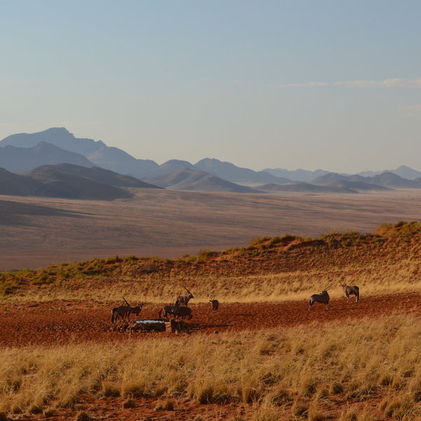 Wolwedans Desert Lodge