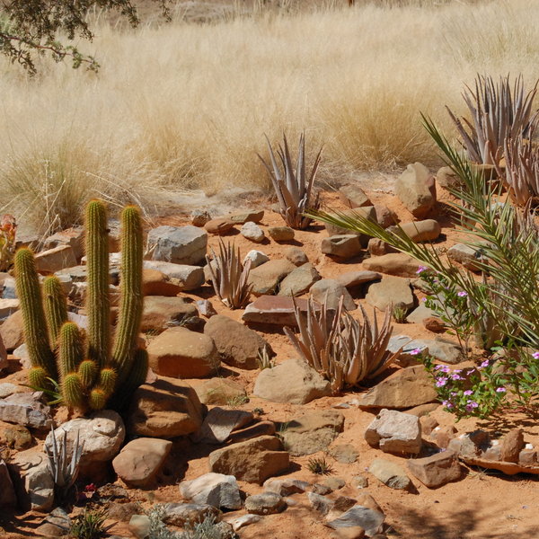 …and to enjoy the surrounding nature.