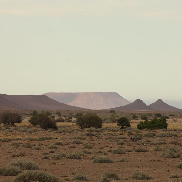 ...which is a vast area containing fragile ecosystems.