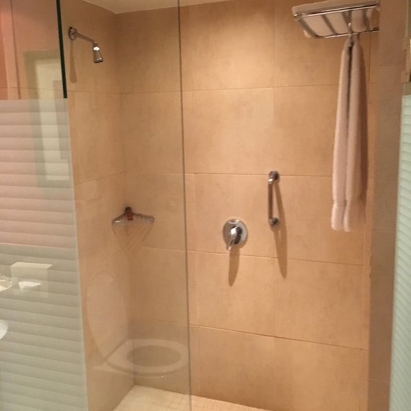 …and the shower and loo combos are clean and functional.