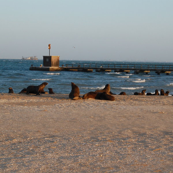 Pelican Point Lodge