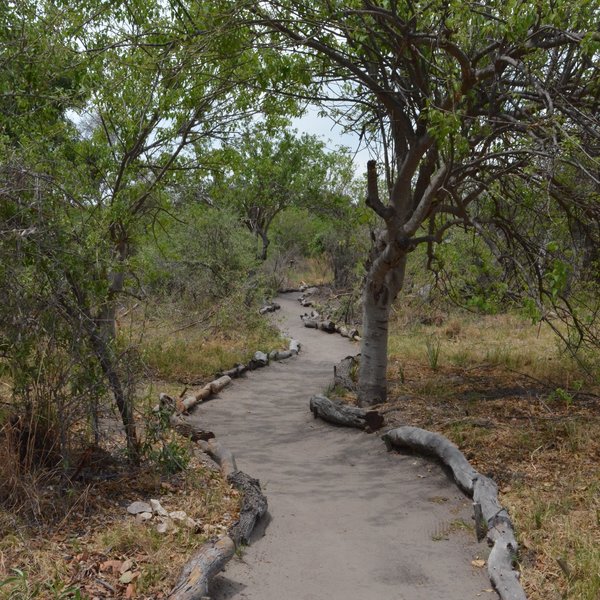 Sandy paths lead from the main area to 9 tented chalets.