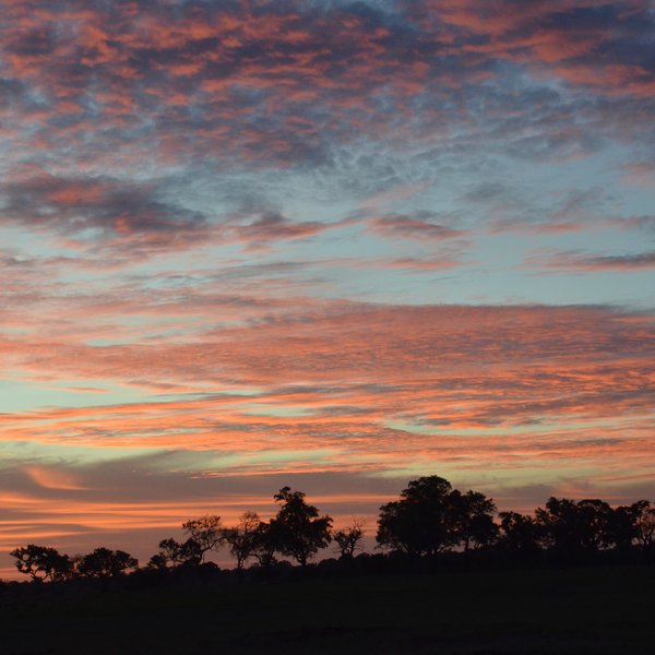 Come for some of the Okavango Deltas most attractive scenery and sunsets.