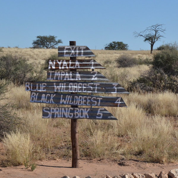 Kalahari Red Dunes Lodge