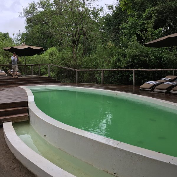 Lake Manyara Tree Lodge