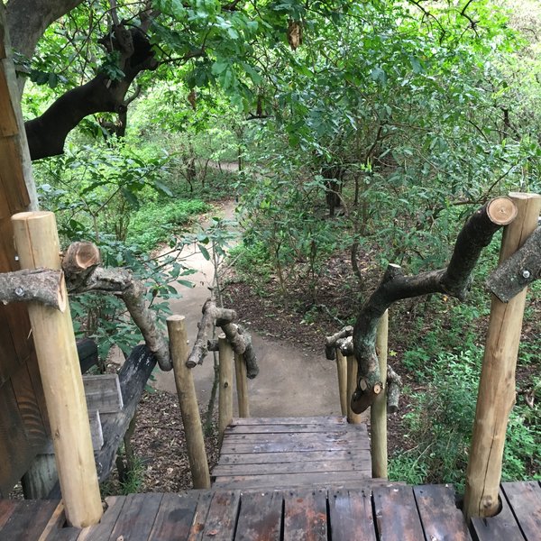 Lake Manyara Tree Lodge