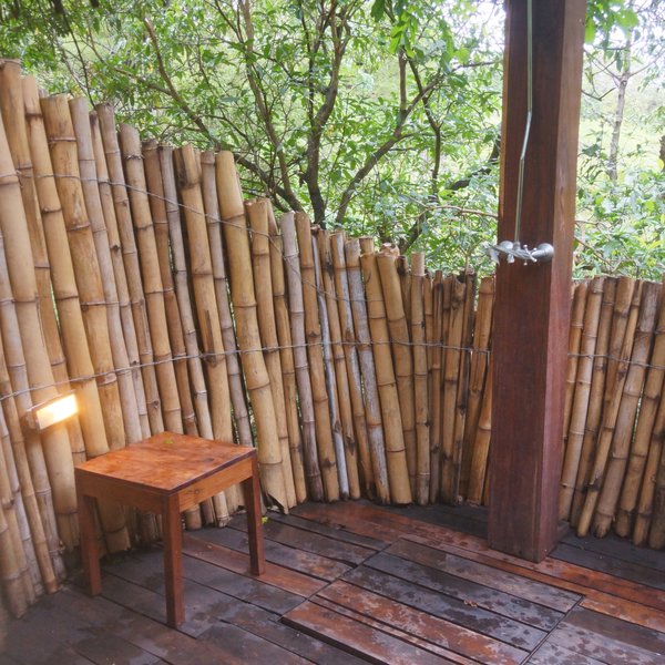 Lake Manyara Tree Lodge