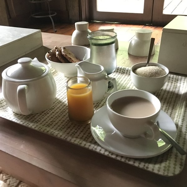 Lake Manyara Tree Lodge