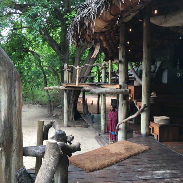 Lake Manyara Tree Lodge