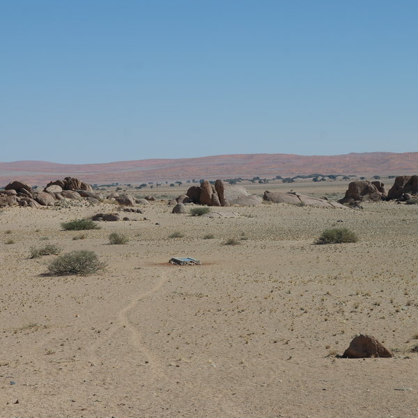 …both of which overlook the camps water hole.