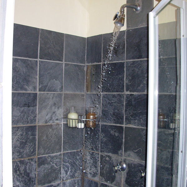 …a toilet and walk-in shower.