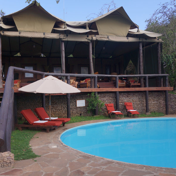 …which is surrounded by a few sunloungers.