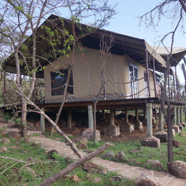 There are 20 tented rooms, which are all raised up on stilts.