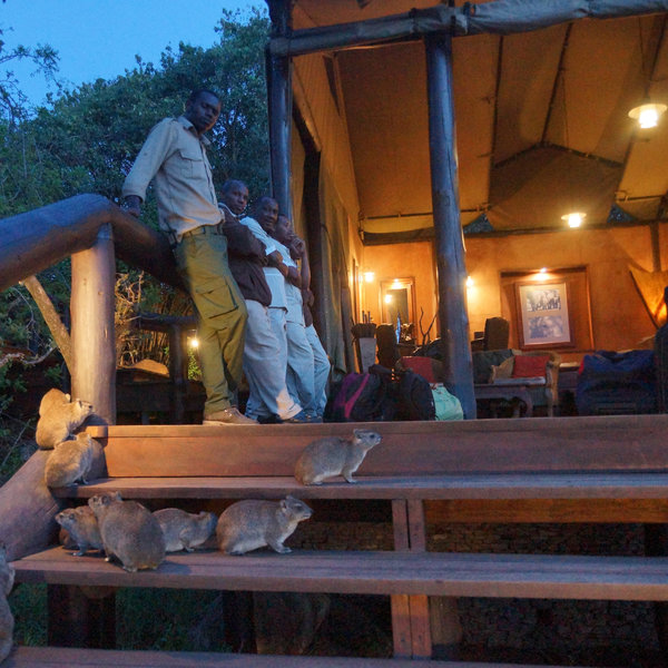 The camp also has plenty of wild visitors like…