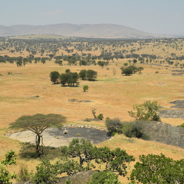 The area around the Lobo Wildlife Lodge has excellent resident game.