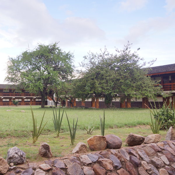 The mid-range hotel, is in a great location for accessing the best of Serengeti’s wildlife.