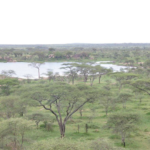 The lodge is an affordable and solid option with a stunning location.