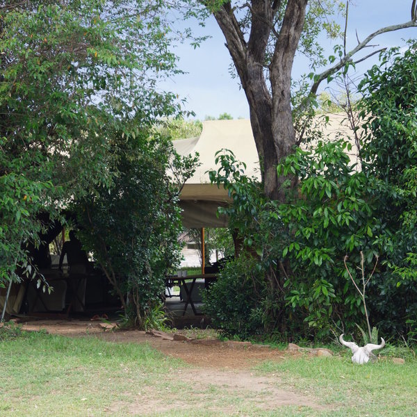 The camp is set in the heart of the Maasai Mara National Reserve.