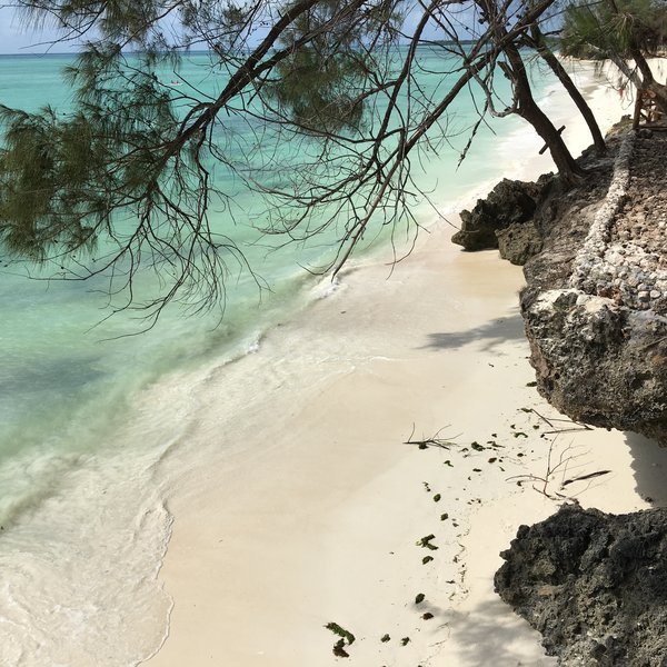 Tulia Zanzibar
