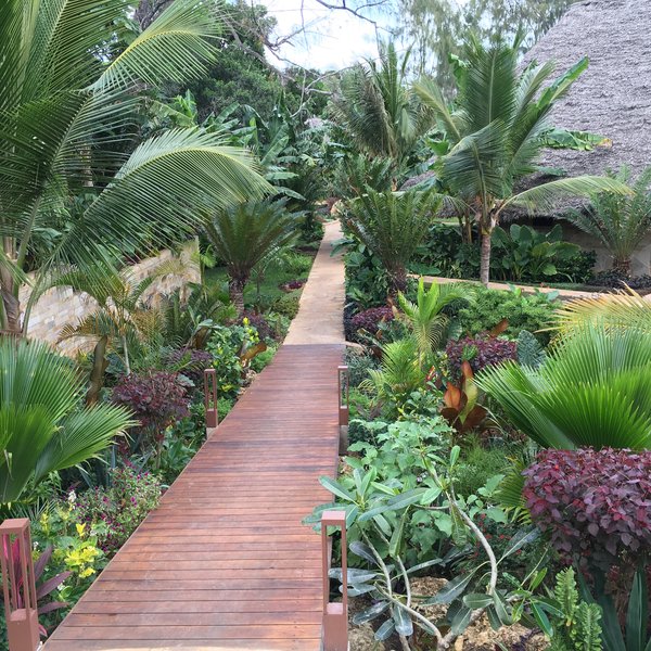Tulia Zanzibar
