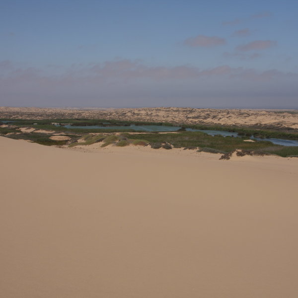 Hoanib Skeleton Coast Camp