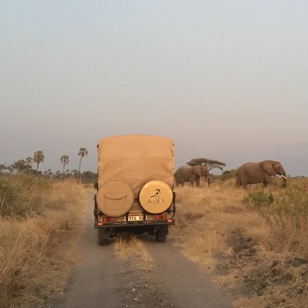 Ikuka Safari Camp