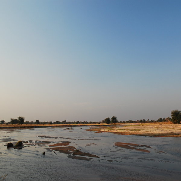 Mwaleshi Camp