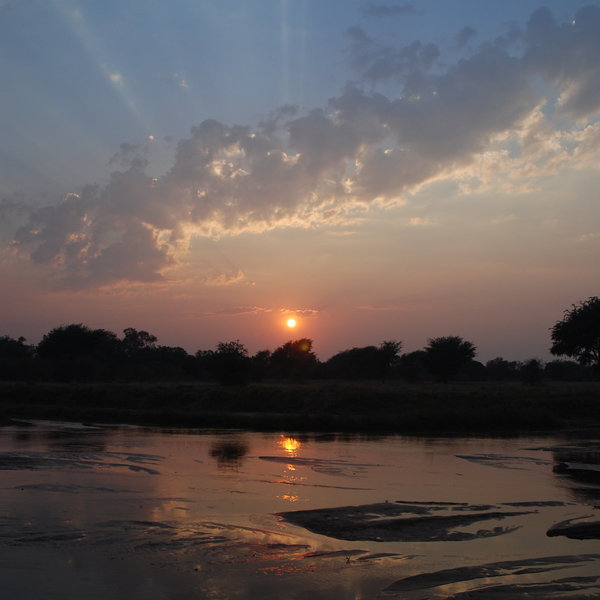 Mwaleshi Camp