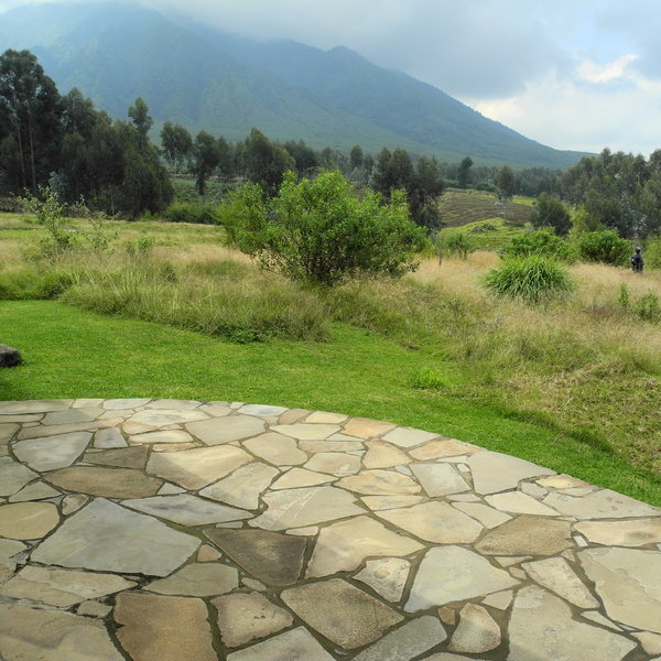 Sabyinyo Silverback Lodge