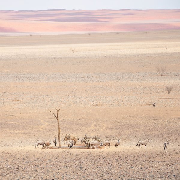 Sossusvlei Desert Lodge