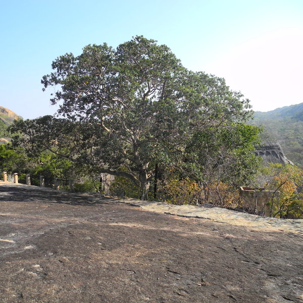 Big Cave Camp