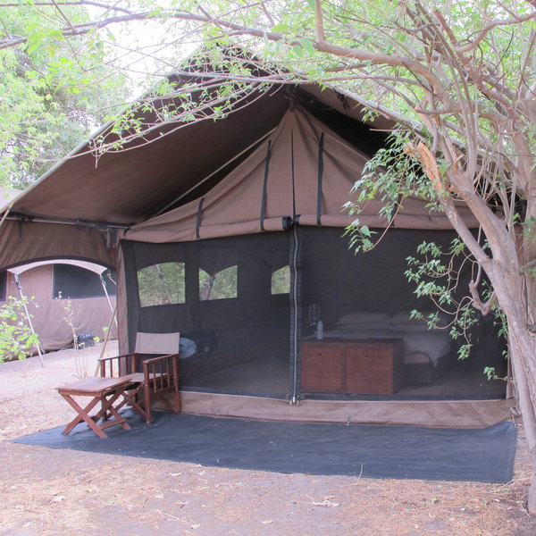 Savute Under Canvas