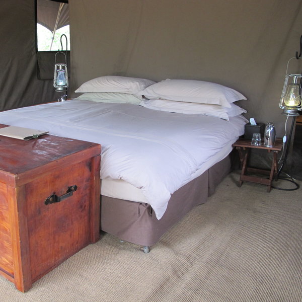 Savute Under Canvas