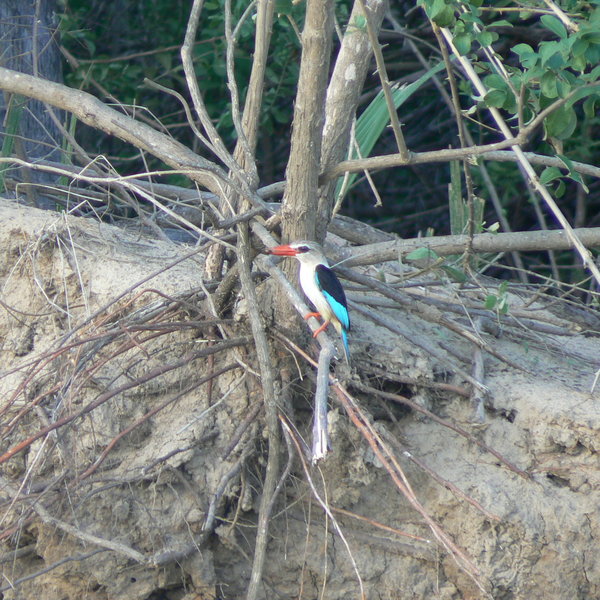 ...where you can sit and watch the wildlife.