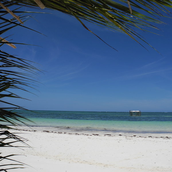Baraza is set along a stretch of white-sand beach on the Michamvi Peninsula.