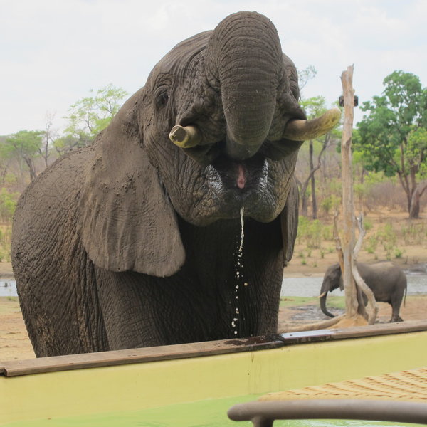 ...facing towards the pool and the waterhole beyond.