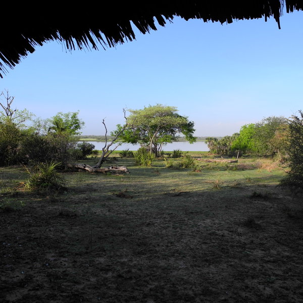Siwandu