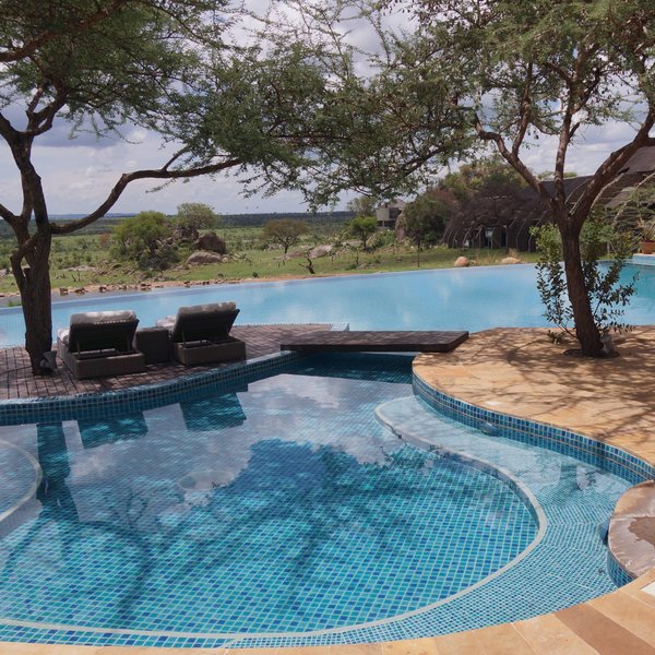 You can also take a swim in the infinity pool...