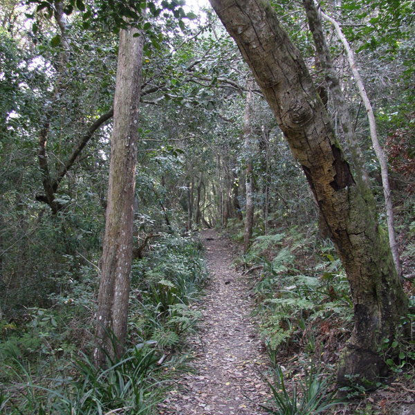 Storms River Restcamp