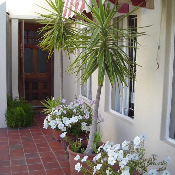 Mountain View Guest House
