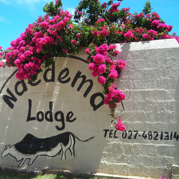 Ndedema Lodge