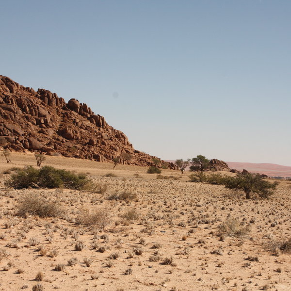 …the camp is in the desert...